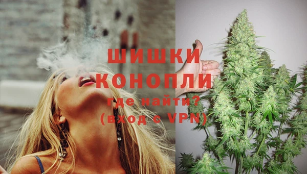 прущая мука Няндома