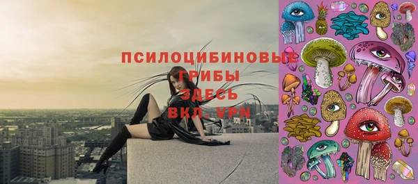 ПСИЛОЦИБИНОВЫЕ ГРИБЫ Нязепетровск