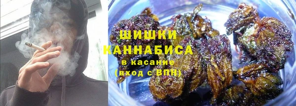 apvp Алзамай