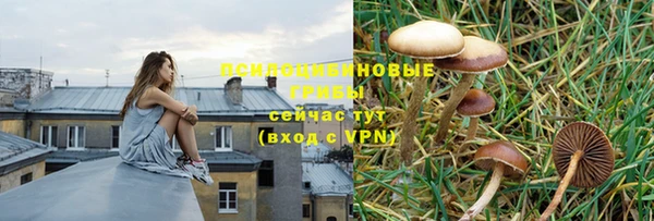 эйфоретик Алексин
