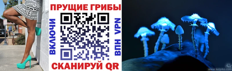 купить  цена  Железногорск  Галлюциногенные грибы Psilocybine cubensis 