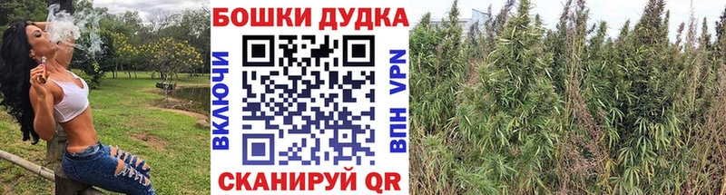 Бошки марихуана White Widow  купить наркотик  кракен   площадка наркотические препараты  Железногорск 